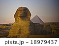 スフィンクス 18979437
