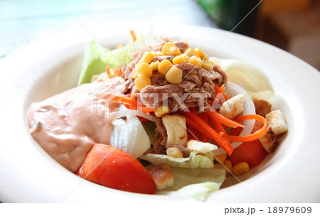 tuna and vegetable salad in dish. tuna and vegetable salad in dish. 18979609