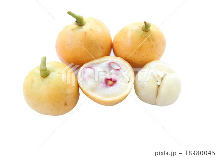 Baccaurea ramiflora or burmese grapes. Baccaurea ramiflora or burmese grapes. 18980045