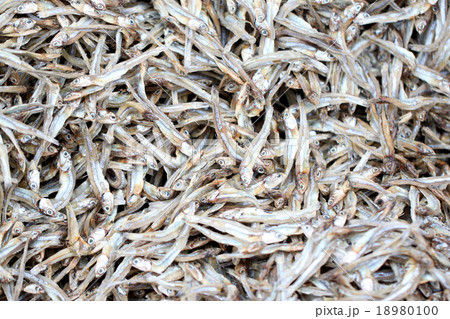 texture of anchovy fish after drying in sunlight. 18980100