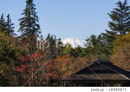 日本庭園と富士山 18980671