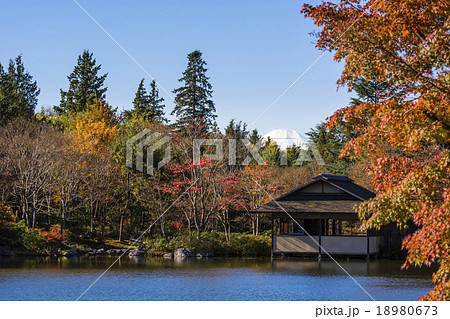 日本庭園と富士山 日本庭園と富士山 18980673