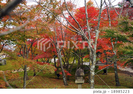 青龍殿庭園の紅葉3 青龍殿庭園の紅葉3 18985223