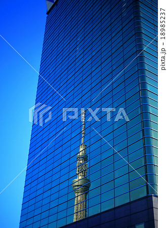 高層ビルに写る東京スカイツリー 高層ビルに写る東京スカイツリー 18985237