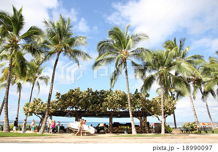 カラカウア通り カラカウア通り 18990097