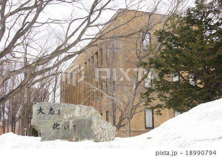 北海道大学 北海道大学 18990794