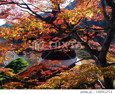 善峯寺 善峯寺 18991253