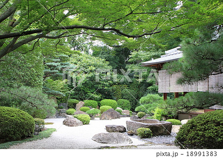 御香宮神社の庭園 18991383