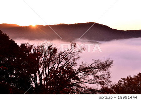 岡山県備中松山城の朝日と雲海 18991444