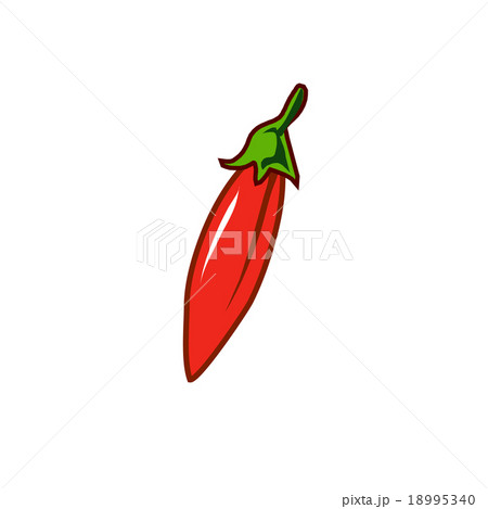 唐辛子イラスト 18995340