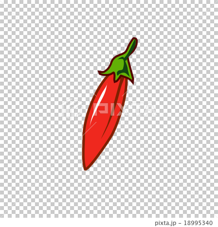 唐辛子イラスト 18995340