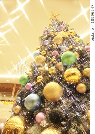 都会のクリスマスツリー 都会のクリスマスツリー 18996547