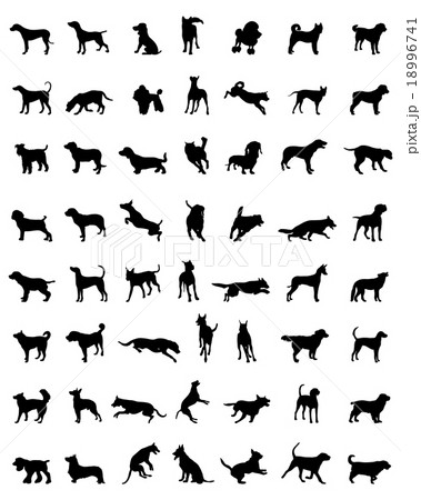 silhouettes of dogs 18996741