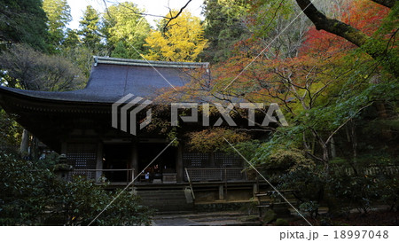 秋の室生寺、本堂と紅葉 秋の室生寺、本堂と紅葉 18997048