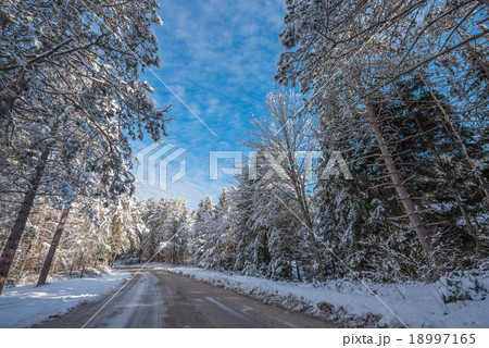 Snow covered woods along rural roads.  18997165