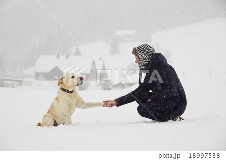 Winter time 18997538