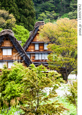 Traditional and Historical Japanese village Traditional and Historical Japanese village 18997842