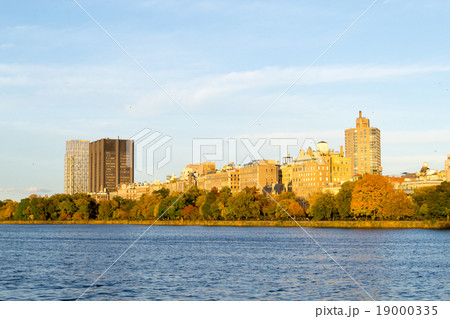 Fall season trees in Central Park Fall season trees in Central Park 19000335