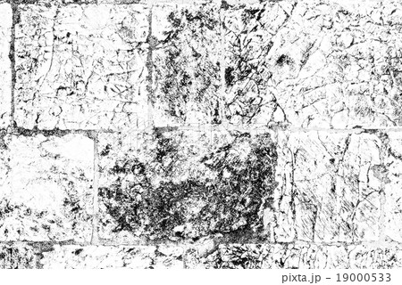 Black-and-white texture Jerusalem stone Black-and-white texture Jerusalem stone 19000533