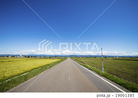 一本道（北海道） 19001385