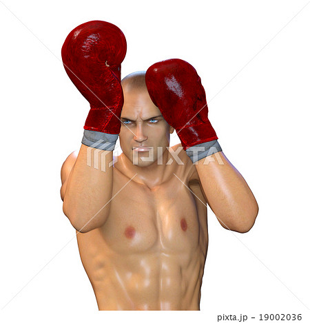 ボクサー 19002036