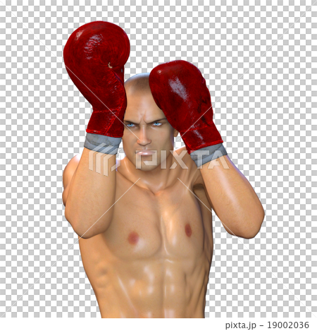 A boxer 19002036