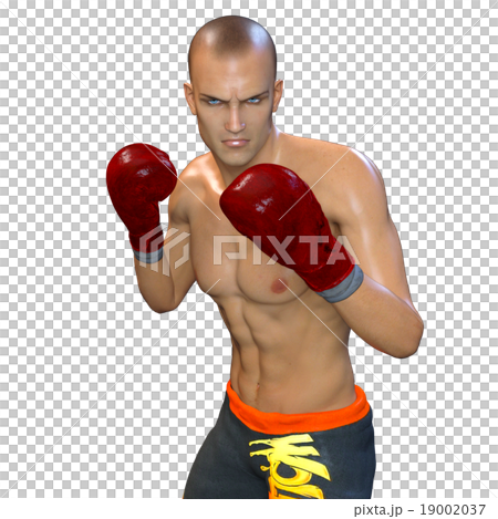A boxer 19002037