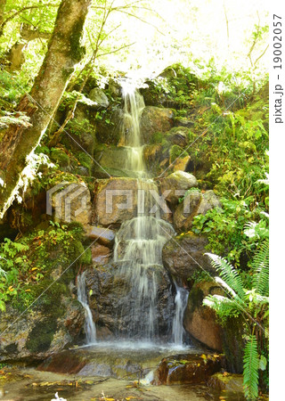 公園の滝 19002057