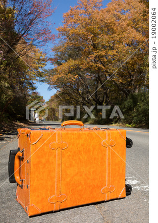 紅葉した那須街道 紅葉した那須街道 19002064