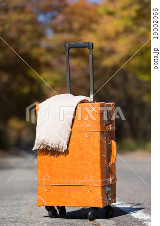 紅葉した那須街道 19002066