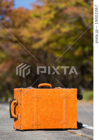 紅葉した那須街道 19002067