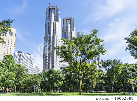 新宿中央公園 新宿中央公園 19002089