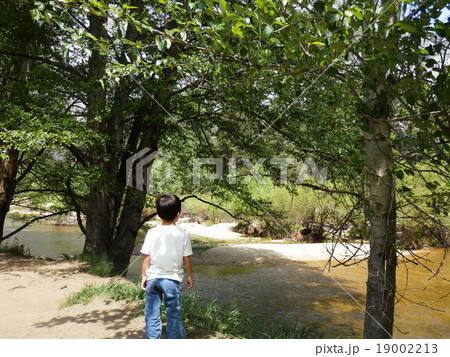 ヨセミテ散歩 19002213