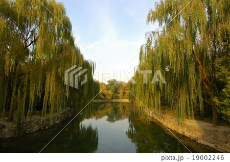 canal in the garden 19002246