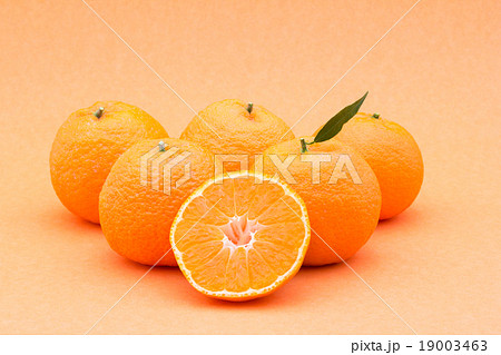 マンダリンオレンジ：mandarin orange 19003463
