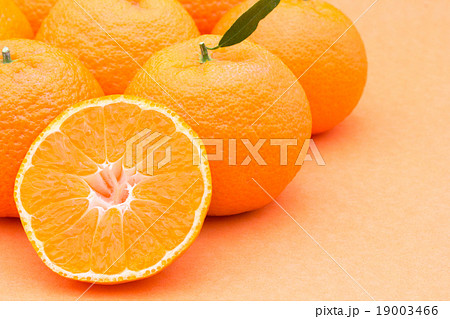 マンダリンオレンジ：mandarin orange 19003466