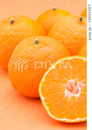 マンダリンオレンジ：mandarin orange 19003467