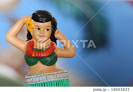 ハワイ　ヴィンテージ　フラドール　椰子ブルー背景 19003635