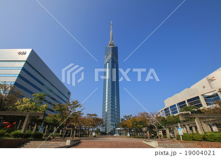 福岡タワー 福岡タワー 19004021