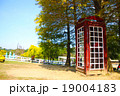 紅葉 モミジ 黄葉 19004183