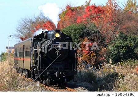 真岡鐵道「カラフルな紅葉を背景に走るSLもおか号」 真岡鐵道「カラフルな紅葉を背景に走るSLもおか号」 19004396