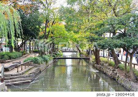 平和橋から望む西川（岡山県岡山市） 19004416