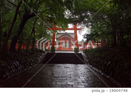 宇佐神社 宇佐鳥居 19004746