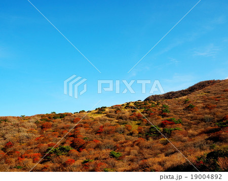 牧ノ戸峠 星生山 紅葉 牧ノ戸峠 星生山 紅葉 19004892