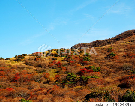 牧ノ戸峠　星生山　紅葉 19004895