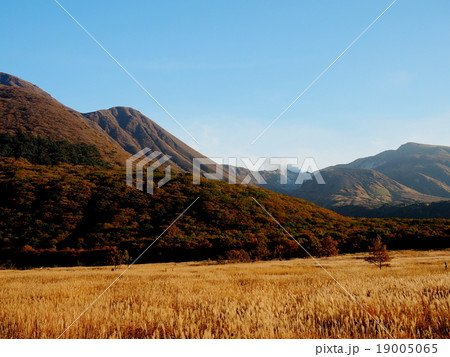 たで原湿原 夕景 秋景色 たで原湿原 夕景 秋景色 19005065
