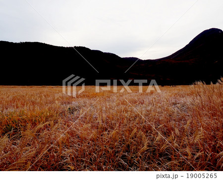 たで原湿原　夜明け　秋景色 19005265