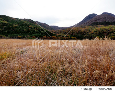 たで原湿原　夜明け　秋景色 19005266