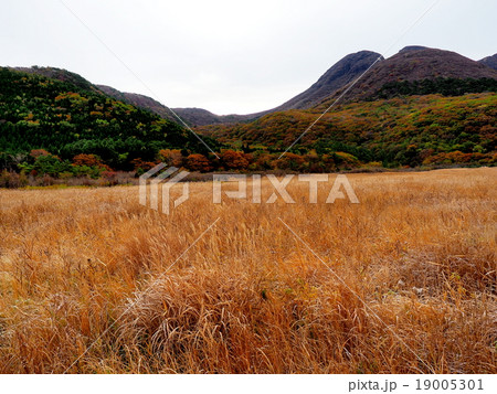 たで原湿原　夜明け　秋景色 19005301