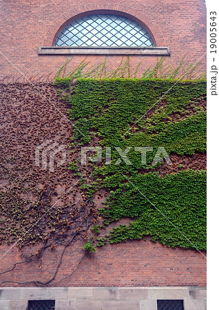 tree on wall 19005643